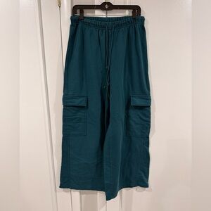 Zara women’s Deep Teal Cargo Pants